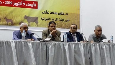 صورة مؤتمر البيطريين” بيانات وزارة الزراعة عن الثروة الحيوانية” مزورة”