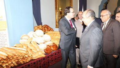 صورة وزير الزراعة تخصيص مساحات للقمح في مشروع المليون ونصف فدان