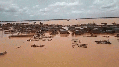 صورة “الزراعة “تنتظر السيول والأمطار