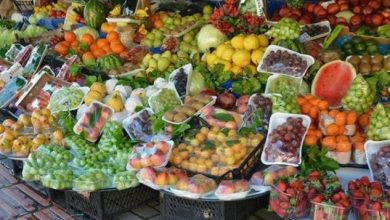 صورة ارتفاع صادرات مصر الزراعية لـ أكثر من 4.8 مليون طن