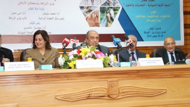 صورة وزير الزراعة”:قطاع الثروة الحيوانية يسد احتياجات 70٪من الفقراء