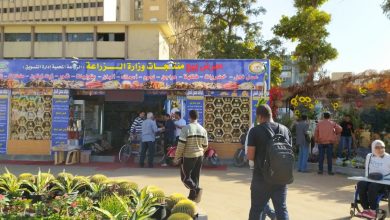 صورة تعرف على أسعار سلع ومنتجات وزارة الزراعة في المتحف الزراعي