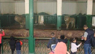 صورة أعلان حالة الطوارئ في حدائق الحيوان في احتفالات أعياد الميلاد