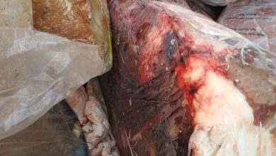 صورة بالصور.. ضبط ٢ طن لحوم ودواجن واسماك فاسدة في ١٦ محافظة