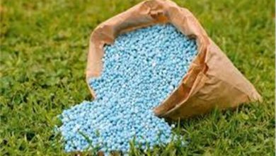 صورة “منتجي وموزعي الاسمدة “يطالبون بتحرير أسعار السماد