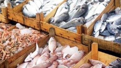 صورة أسعار الأسماك في الاسواق اليوم