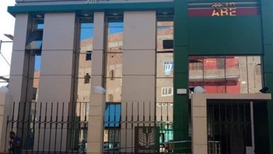 صورة نقابة المنتجين الزراعيين”تتهم البنك الزراعي بالامتناع عن صرف القروض للمزارعيين