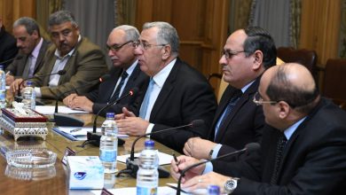 صورة تفاصيل لقاء وزير الزراعة والإنتاج الحربي