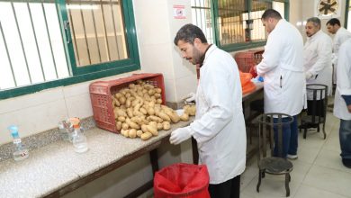 صورة وزير الزراعة يفتتح وحدة الرصد والمتابعة لمشروع مكافحة العفن البني في البطاطس