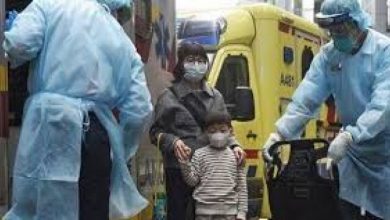 صورة فتش عن الثعابين والخفافيش.. “الزراعة”تكشف حقيقة مرض كورونا القادم من الصين