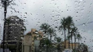 صورة طقس الغد شديد البرودة ممطر على الوجه البحرى والصغرى بالقاهرة 12 درجة