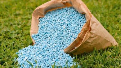 صورة ” العربى للاسمدة ” : خطة لزيادة الانتاج والصادرات لمصانع السماد