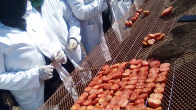 صورة بالصور.. الزراعة” تعلن عن مشروع تجفيف الطماطم بالتعاون مع برنامج الغذاء العالمى