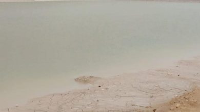 صورة “الري” سدود “طرة والمعادي” تعمل بكفاءة عالية