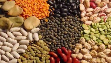 صورة “الزراعة” تعلن اسعار تقاوي محاصيل الموسم الصيفي