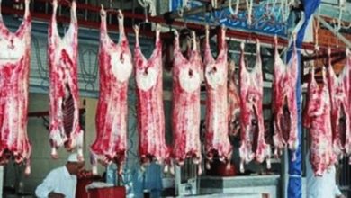 صورة بسبب “كورونا” .. وزارة الزراعة تشدد من إجراءاتها على منافذ استيراد اللحوم والاغذية