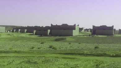 صورة ” الزراعة “:  تحديد التركيب المحصولي للاراضي الجديدة في سيناء