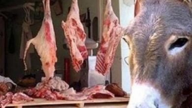 صورة الزراعة ” تكشف حقيقة الكباب والكفتة بلحوم الحمير في المعصرة وحلوان