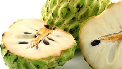 صورة  “الفلاحين “تكشف علاقة فاكهة القشطه بفيروس كورونا