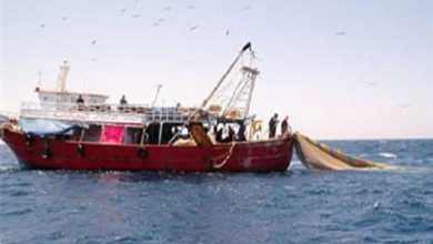 صورة الزراعة “تكشف اسباب وقف الصيد في البحر الاحمر