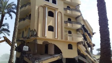 صورة حملة لإزالة التعديات على الفيلات المقامة على الأراضي الزراعية بالجيزة