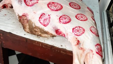 صورة (صور) الزراعة:ضبط لحوم فاسدة وأختام مزورة في القاهرة والمحافظات