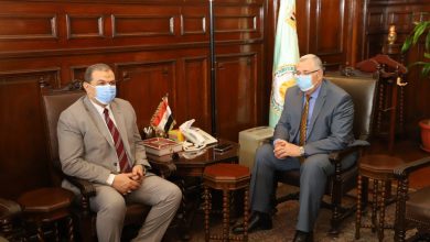 صورة القصير. : وضع آلية لرعاية العمالة غير المنتظمة في الزراعة