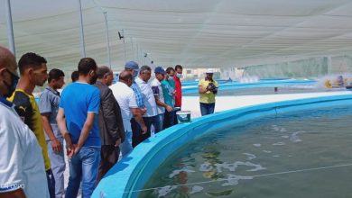 صورة وزير الزراعة يقوم بجولة في محافظة الاسكندرية والبحيرة