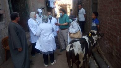 صورة الزراعة: خطة لرصد امراض الماشية الوبائية في ٥ الاف قرية(صور)