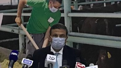 صورة رئيس البنك الزراعي : تمويل مشروع البتلو يتخطى ٢ مليار جنيه