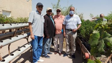 صورة الزراعة”تتابع مشروعات تعزيز القدرات التسويقية لصغار المزارعين