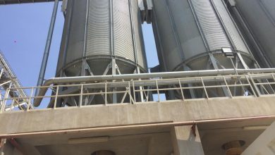 صورة وزير التموين :افتتاح 3صوامع جديدة لزيادة السعة الإنتاجية