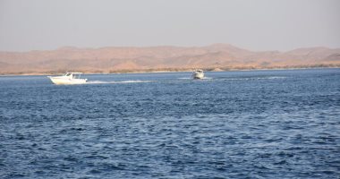 صورة “الزراعة” : اطلاق 8 ملايين زريعة اسماك في بحيرة ناصر