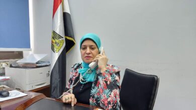 صورة د هند عبداللاه تكتب.. الصادرات الزراعية المصرية ودورها في البنيان الإقتصادي المصري