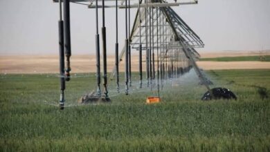 صورة إنطلاق المعرض الزراعي” اجري بلازا” لتقنيات الزراعة الحديثة بالأسكندرية