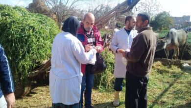 صورة وزير الزراعة” يتابع حصر الثروة الحيوانية والداجنة مع مديريات الطب البيطري