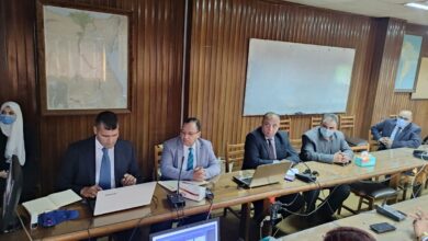 صورة تعاون “مصري  برازيلي” في مجال تحسين سلالات الماشية