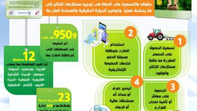 صورة ساهم في الناتج المحلي بأكثر من 669مليار جنيه.. حصاد قطاع الزراعة عام 2020 (انفوجراف)