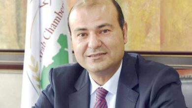 صورة  حنفي: تطوير التعاون العربي الأوروبي لوجستيا  لتلافي سلبيات كورونا