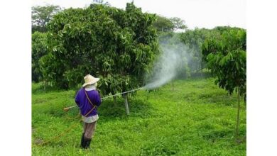 صورة “الزراعة” توقف استيراد 13 مادة فعالة لمبيدات شديدة الخطورة