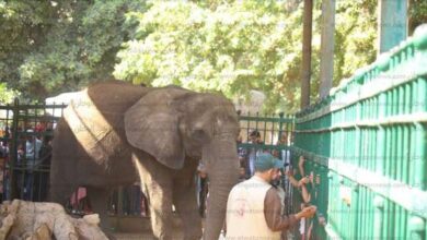صورة إغلاق حديقة الحيوان امام المواطنين… مدير الإدارة المركزية يكشف الحقيقة