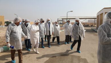 صورة وزير الزراعة ومحافظ الفيوم يتفقدان المشروع القومى لانتاج البيض الخالي من المسببات المرضية(صور)