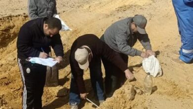 صورة الزراعة “: حصر وتصنيف التربة في مساحة 59الف فدان غرب خليج السويس(صور)