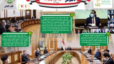 صورة انفوجراف وفيديو … ملخص  اهم أنشطة الزراعة في اسبوع