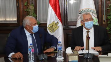 صورة تفاصيل اجتماع وزير الزراعة مع محافظ الوادى الجديد