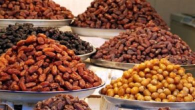 صورة أبرزها بورصة ويوم عربي.. “الزراعة” و”الاتحاد العربي” يعلنان ١٧ توصية لمهرجان التمور