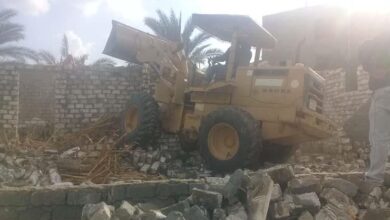 صورة “الزراعة “تشكيل غرفة عمليات لمنع التعدي على الأراضي الزراعية خلال الإجازة