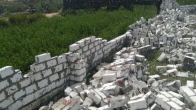 صورة الزراعة ” تواصل إزالة التعديات على الاراضي الزراعية خلال الإجازة