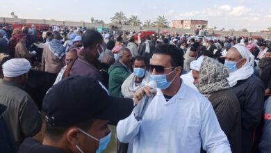 صورة ” التأمين على الماشية” ينفذ ندوة توعية  للمربيين بسوق العامرية بالاسكندرية