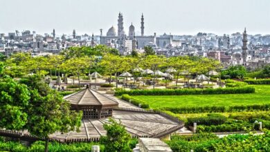 صورة محافظ القاهرة:غلق جميع الحدائق العامة والمتنزهات على مدار اليوم